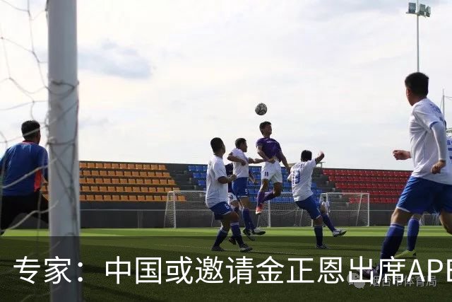专家：中国或邀请金正恩出席APEC领导人非正式会议