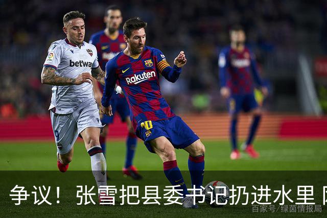 争议！张雪把县委书记扔进水里 网友：接地气 普通人敢扔一个试试？