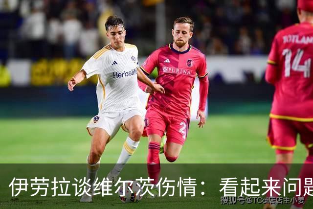 伊劳拉谈维尔茨伤情：看起来问题不大，但还需要进一步检查