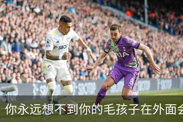 你永远想不到你的毛孩子在外面会被叫什么！网友：坚果被叫建国…