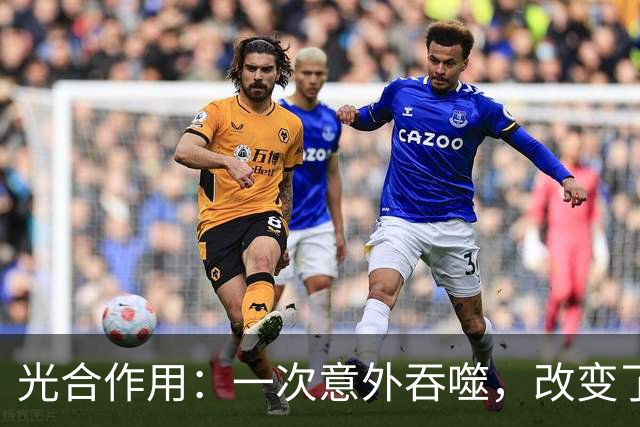 光合作用：一次意外吞噬，改变了整个地球