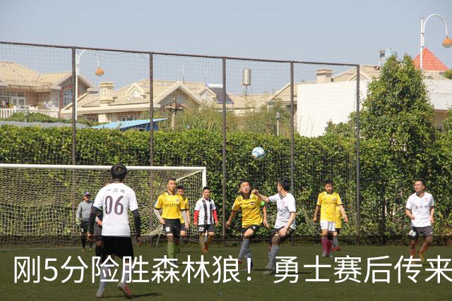 刚5分险胜森林狼！勇士赛后传来库里消息，主帅科尔说的很实在