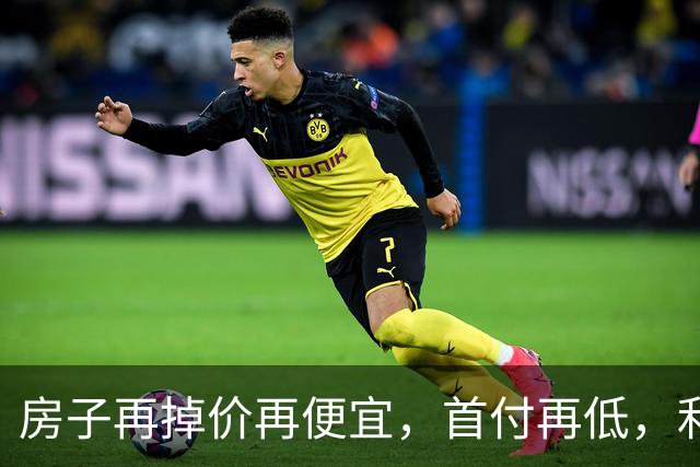 房子再掉价再便宜，首付再低，利率再低，当下还是不要着急买房