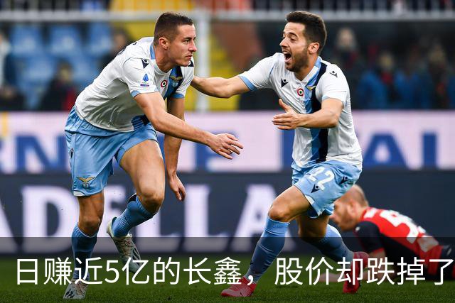 日赚近5亿的长鑫，股价却跌掉了15000亿