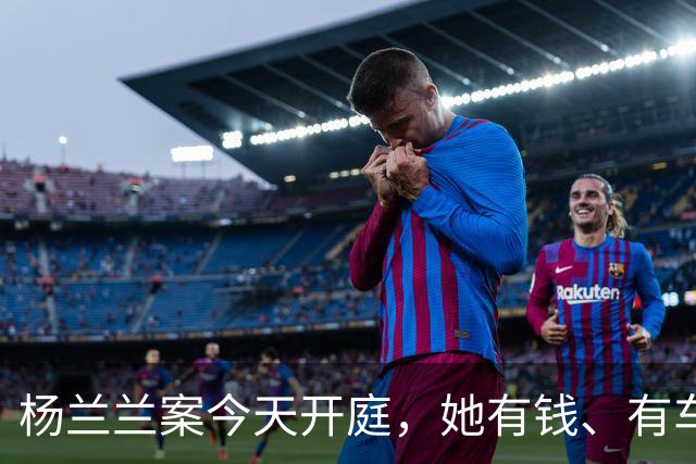 杨兰兰案今天开庭，她有钱、有车、有房，就是查不到她是谁