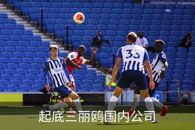 起底三丽鸥国内公司