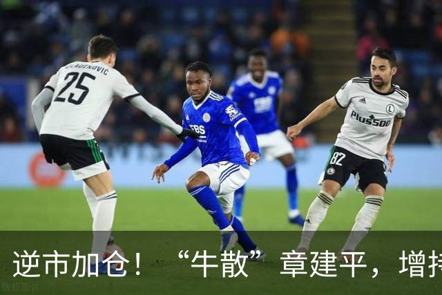 逆市加仓！“牛散”章建平，增持云南锗业