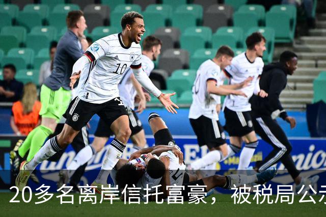20多名离岸信托富豪，被税局公示催告